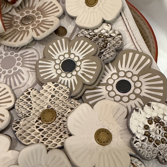 Coach 1941 Rogue 31 with Snakeskin Tea Rose this is NOT the 25 - Picture 14 of 15